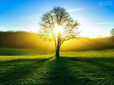 实习总结字(十二篇)