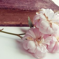 宏观探讨我国的税法体系