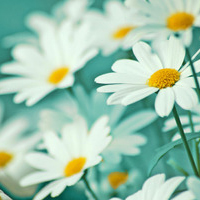 医院揭牌仪式主持词方案范文