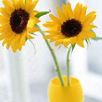 部队工作半年总结报告