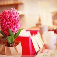 最新上海之旅作文400字 上海之行作文,300字(七篇)