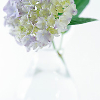 最新珠宝销售日总结案例 珠宝销售日总结(五篇)