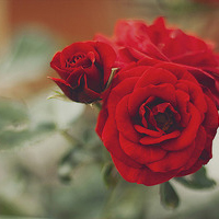 2024年建设工程勘察合同书(六篇)