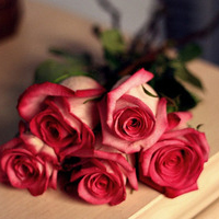 最新送你一朵小红花观后感800字作文(五篇)