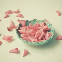 中国建设银行一般商业性助学贷款借款合同书