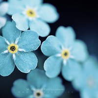 最新农村租房合同协议书 餐饮租房合同协议书(二十一篇)