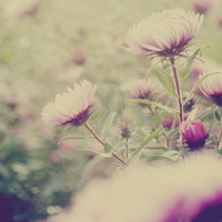 承揽合同纠纷答辩书格式