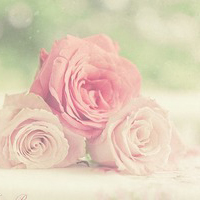 汉语言文学本科毕业论文:汉语言文学论文6000字【8篇】