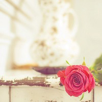 最新冬天的风作文100字(6篇)