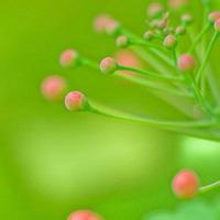 最新导游实训报告 导游基础实训报告(15篇)