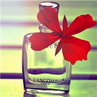 2024教育培训合作协议范本