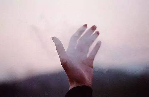 初中暑假社会实践活动总结范文