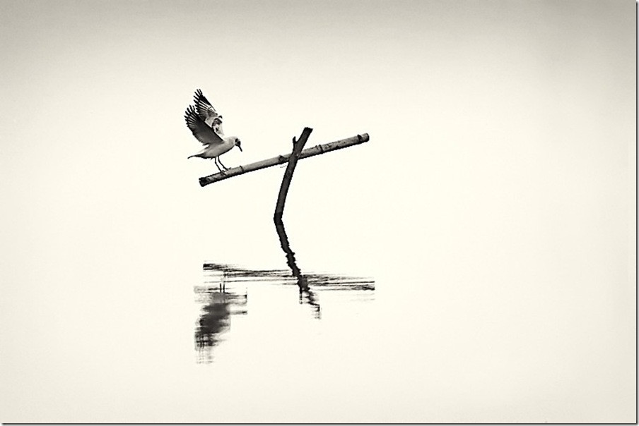 法学本科论文初稿模板范文通用25篇