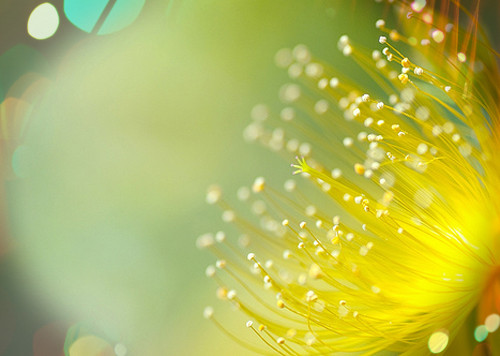 网站信息资源订购服务协议