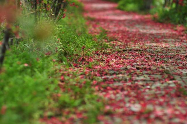 浅议绿色化学实验室建设