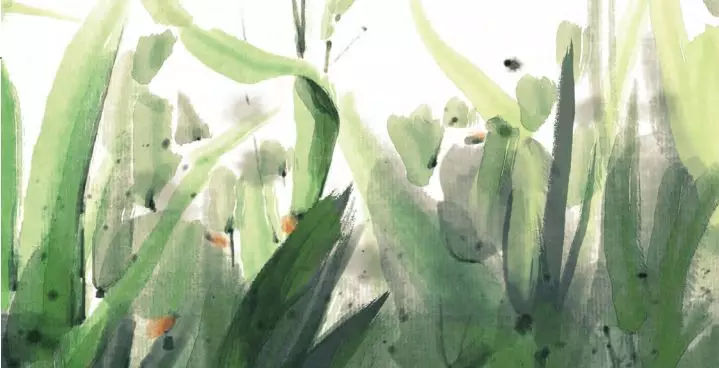 2024年三年级下册父母的爱作文300字 三年级下册父母的爱作文(4篇)