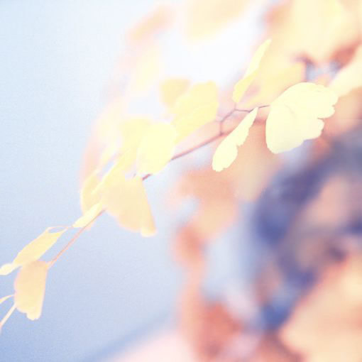 事业单位最新年终工作总结