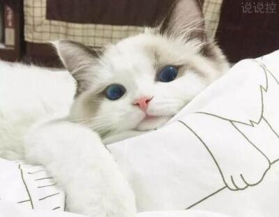 高中个人愿景作文范文16篇