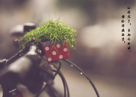 2024年建筑工程合同书(三篇)