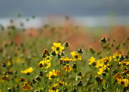 六年级作文300字作文(四篇)