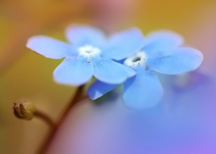 零件加工合同协议