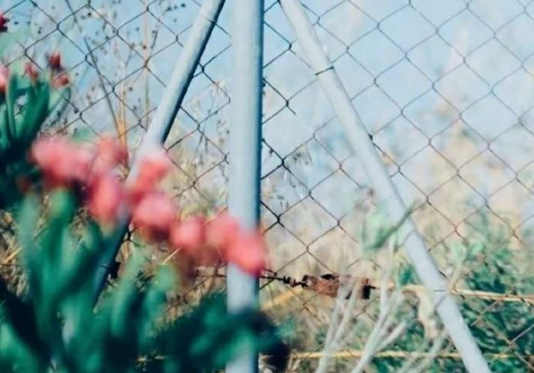 2024年车工实习报告样本车工实习报告范文(精)(5篇)