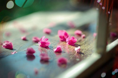 多媒体网络下的生物学教学