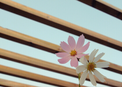 会计实证论文开题报告范文8篇