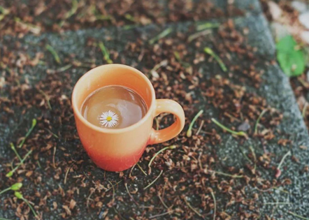 2024试用期工作总结5篇范文