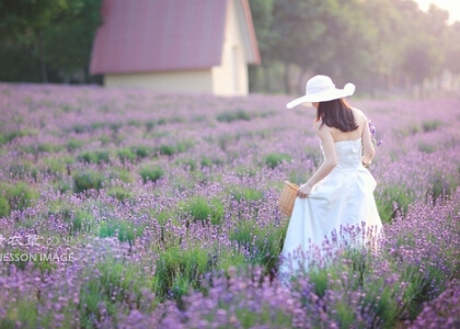 广告委托制作合同协议书 委托制作广告协议(20篇)