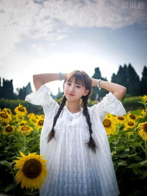 2024担保贷款合同范文