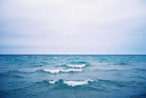 公司员工转正工作总结申请书(五篇)