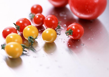 运动会开幕式广播稿50字(4篇)