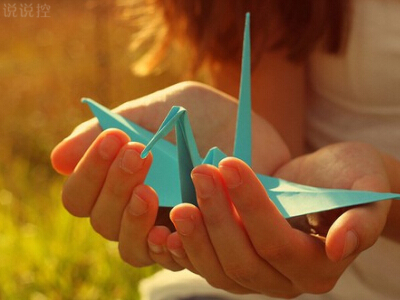 最新人力资源工作总结汇报 人力资源工作总结个人(5篇)