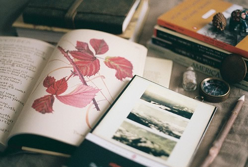 英语作文图表作文范文高中通用15篇