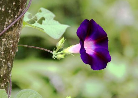 最新工程地质认识实习报告如何写(七篇)