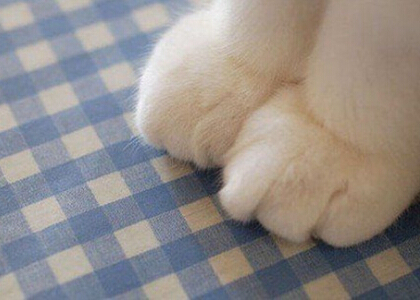 浅议欧盟环境税政策及其对我国的启示