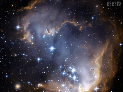 2024小学圆梦蒲公英活动总结