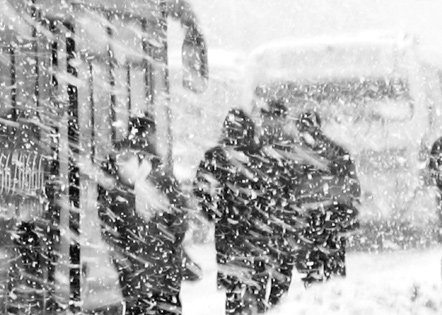 最新医院影像科个人工作总结 影像科医生个人工作总结(6篇)