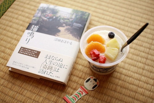 最新小学清明节见闻作文三年级 清明节见闻作文300字(5篇)