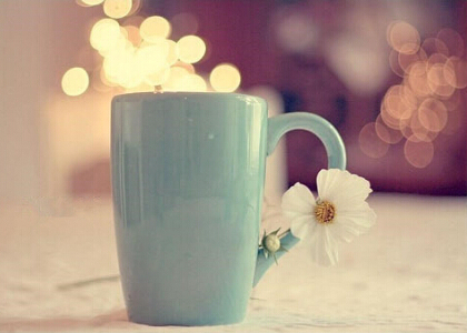 项目招标合同模板