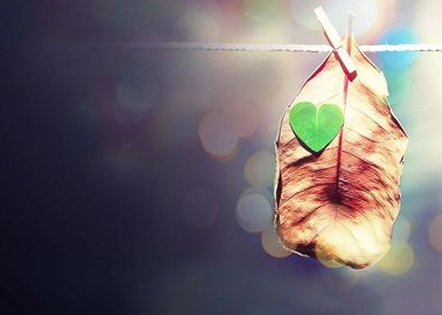 书作文800字优秀范文精选68篇