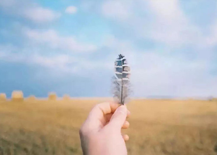 公司工作总结(5篇)