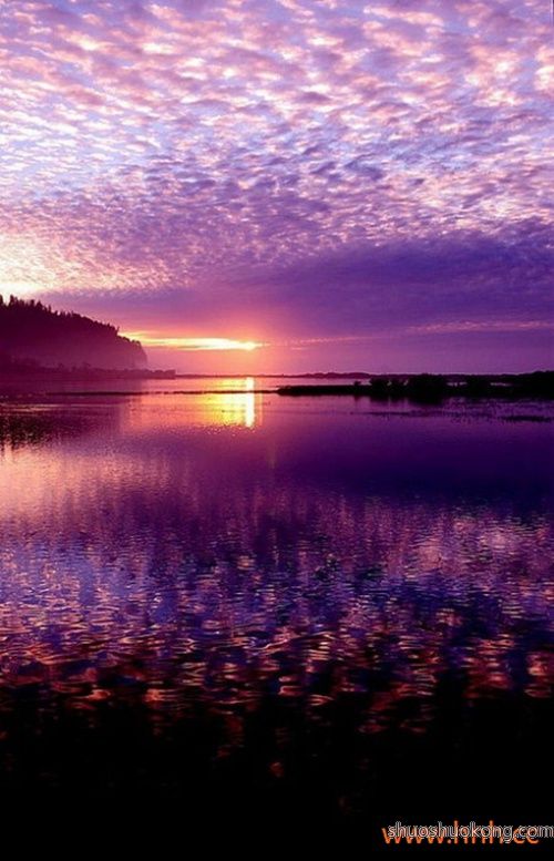 部队班长上半年工作总结