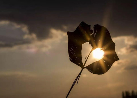 工程项目合同(三篇)