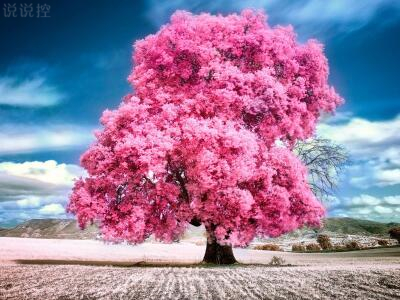 2024年书籍励志名人名言范文九篇