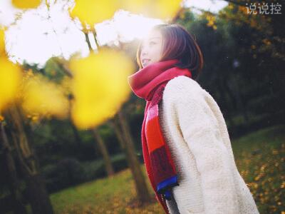 茶园承包种植经营合同 茶园基地承包合同(3篇)