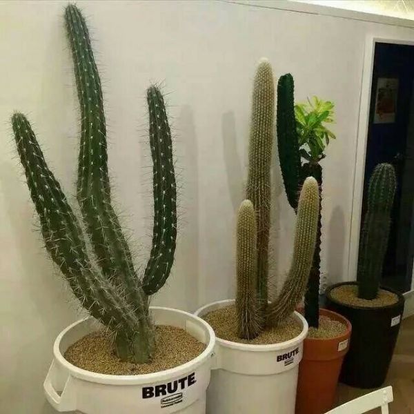 【车抵押贷款合同范本】银行房屋抵押贷款合同范本