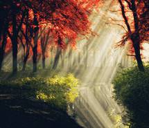 行政事业单位财务管理改革