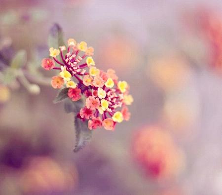 安监局长在全省安全生产调度统计信息工作会议上的讲话